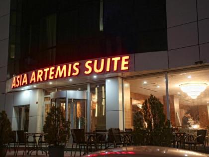 Asia Artemis Suite - image 14