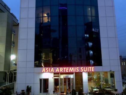 Asia Artemis Suite - image 16