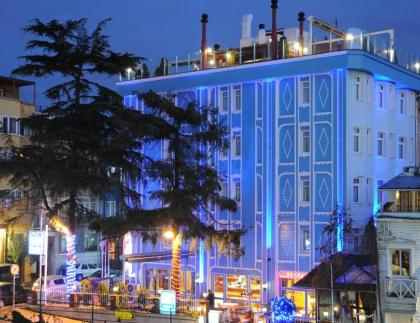 Blue House Hotel - image 1