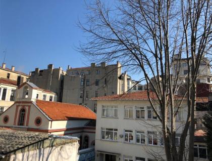 The House of Tulpan - image 11