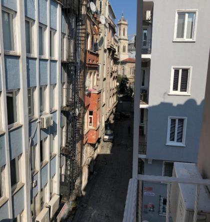 The House of Tulpan - image 13