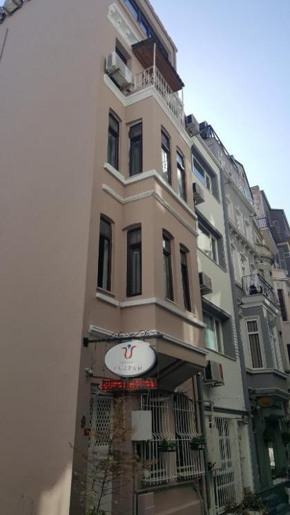 The House of Tulpan - image 2