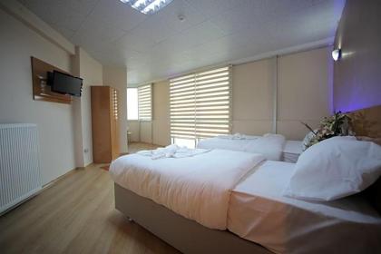 Istanbul Dedem Hotel 1 - image 16