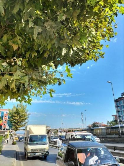Istanbul Dedem Hotel 1 - image 18