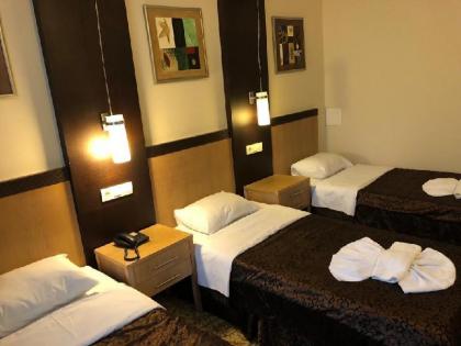 Hotel Topkapi - image 19