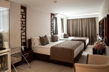 Victory Hotel & Spa Istanbul - image 3