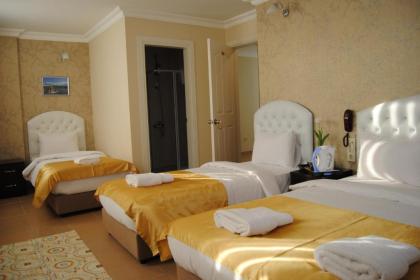 Lotus Hotel Istanbul - image 13