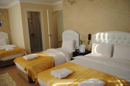 Lotus Hotel Istanbul - image 14