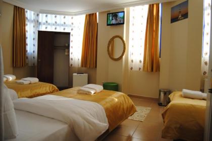 Lotus Hotel Istanbul - image 9