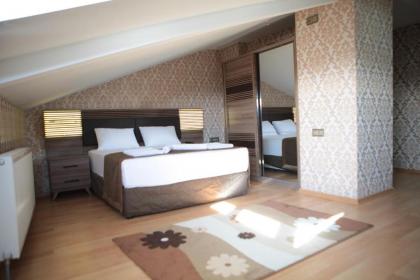 Gumus Palace Hotel - image 14
