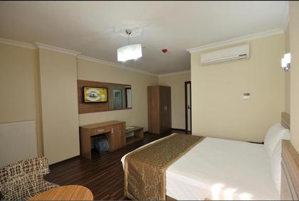 Gumus Palace Hotel - image 5