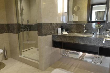 Wyndham Grand Istanbul Europe - image 15