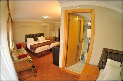 Palace Point Hotel - image 1