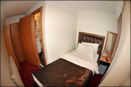 Palace Point Hotel - image 8