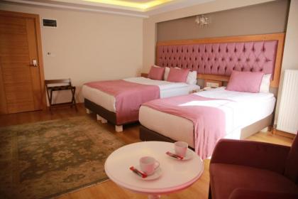 Hotel Black Tulip - image 10
