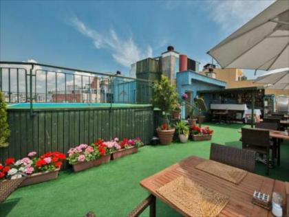 Laleli Gonen Hotel - image 3