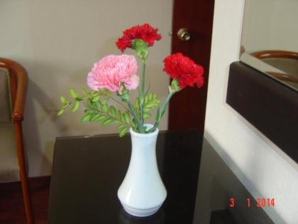 Hotel Falcon - image 8