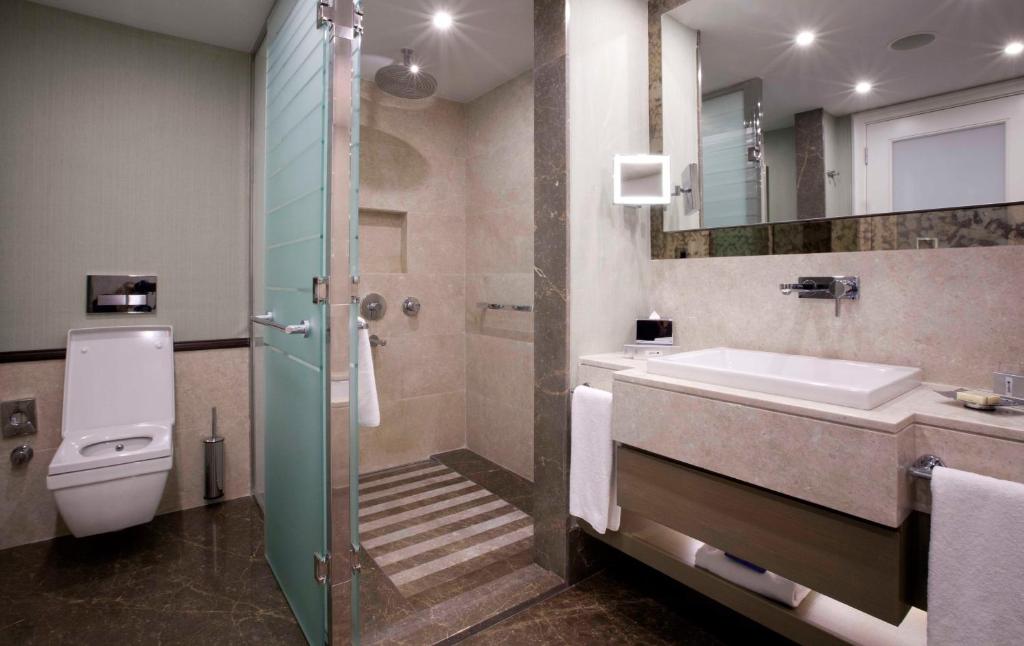 Radisson Blu Hotel Istanbul Sisli - image 3