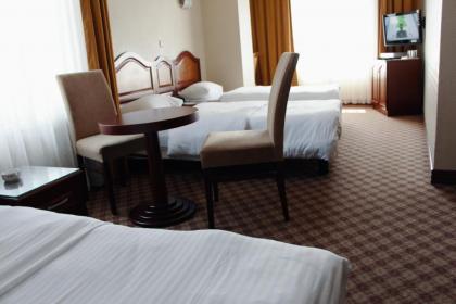Bayrampasa Grand Hotel Seferoglu - image 6