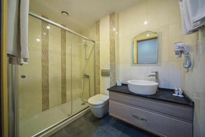 Apart Hotel Hippodrome - image 20