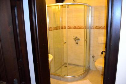 Hotel Alp Guesthouse - image 11