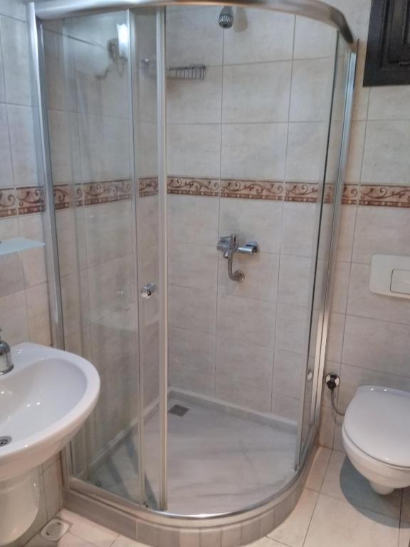 Hotel Alp Guesthouse - image 2
