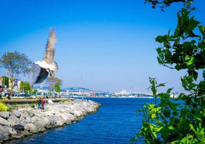 Raimond Hotel - image 13