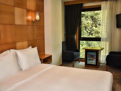 Cumbali Plaza Hotel - image 14
