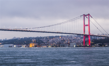 Bosphorus Palace Hotel - image 19
