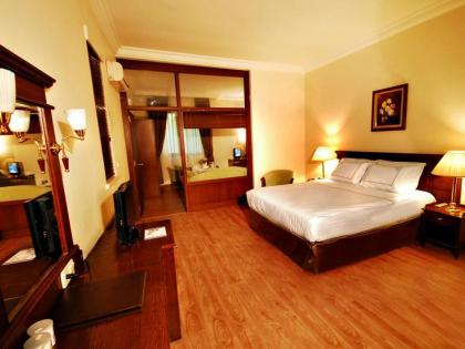 Golden Crown Hotel - image 1
