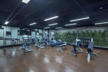 Hilton Garden Inn Istanbul Airport - image 15