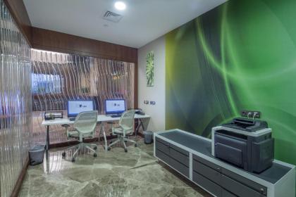 Hilton Garden Inn Istanbul Airport - image 20