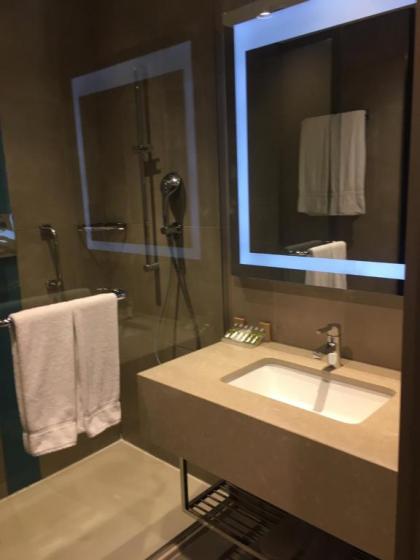 Hilton Garden Inn Istanbul Airport - image 8