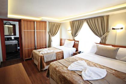 Taksim Palace Hotel - image 6