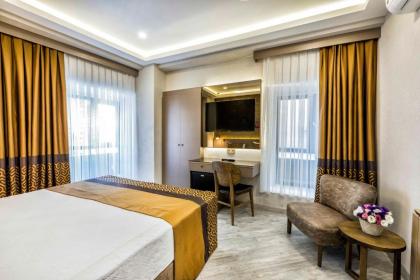 Ayramin Hotel Taksim - image 10