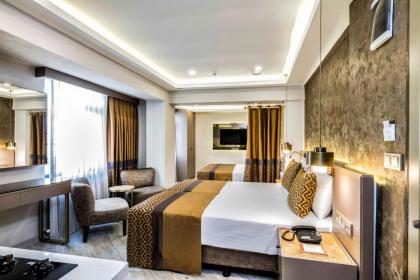 Ayramin Hotel Taksim - image 6