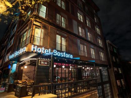 Hotel Bosfora - image 1