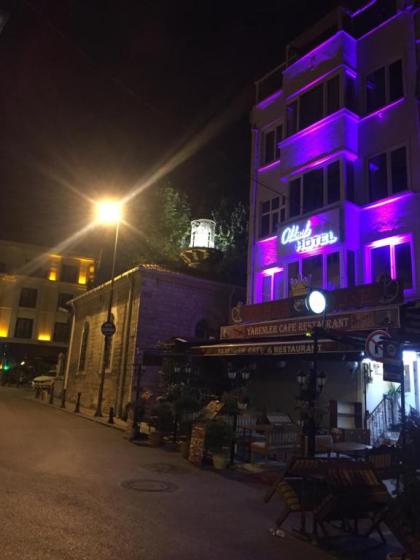 Oldmile Palace Hotel - image 1