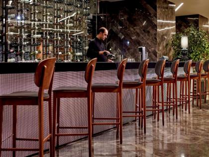 Pullman Istanbul Airport and Convention Center - image 9