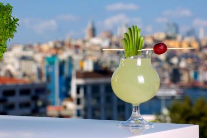 Glamour Hotel Istanbul Sirkeci - image 16