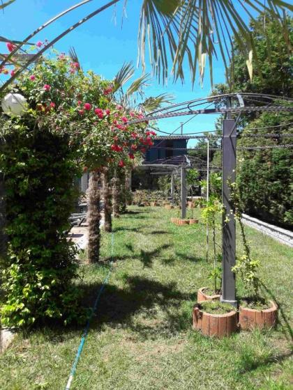 Green House Garden Park Hotel - image 11