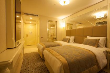 Beethoven Hotel - Special Category - image 7