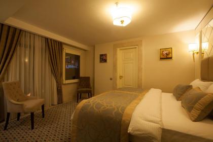 Beethoven Hotel - Special Category - image 8