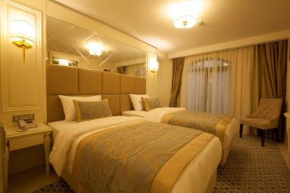 Beethoven Hotel - Special Category - image 9