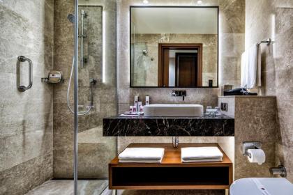 Clarion Hotel Istanbul Golden Horn - image 6