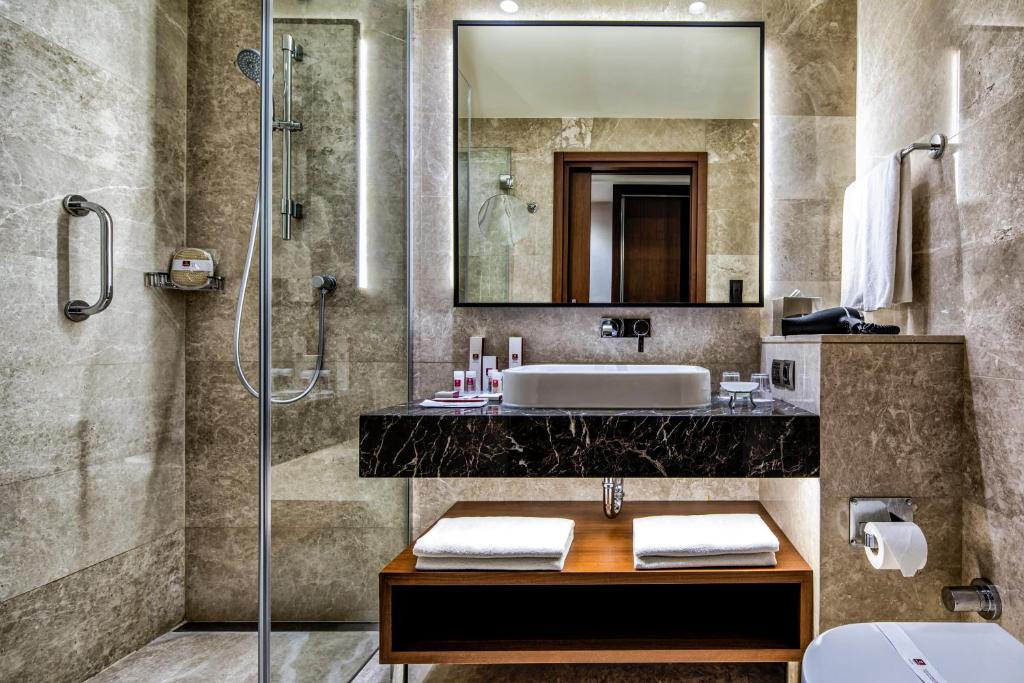 Clarion Hotel Istanbul Golden Horn - image 6