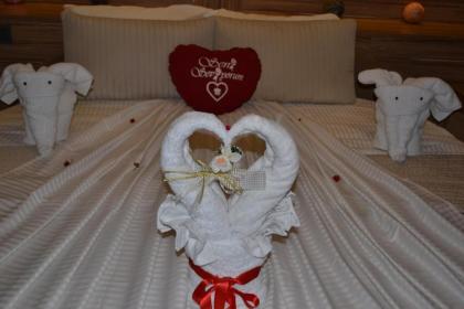 Gumus Palace Suites - image 7
