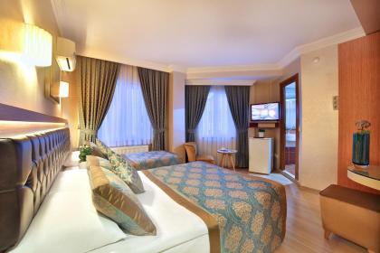 Hotel Resitpasa Istanbul - image 11