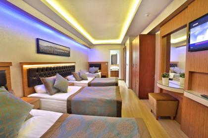 Hotel Resitpasa Istanbul - image 5