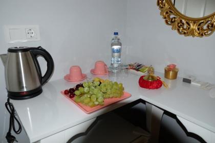 Blue Mosque Suites-Old City Sultanahmet - image 16